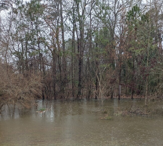 Water View - 303 Appleton St