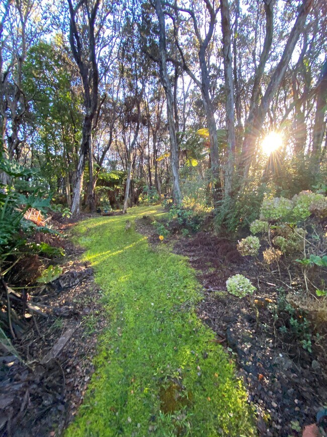 Pathways into the 3 acre woods to the golf course - 99-1808 Painiu Loop