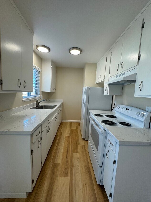 Primary Photo - Bright and Spacious, 1 bedroom 1 bath upst...