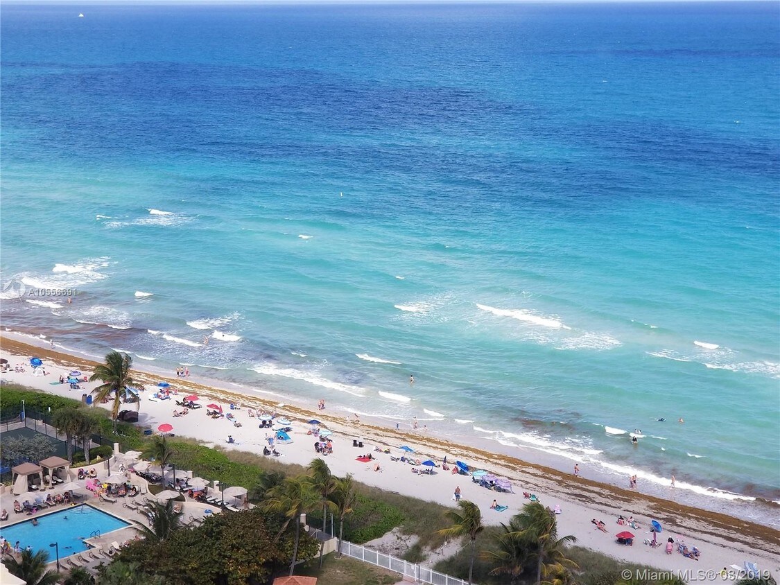 1950 S Ocean Dr 20F Hallandale Fl 33009 - 1950 S Ocean Dr  20F Hallandale Fl 33009