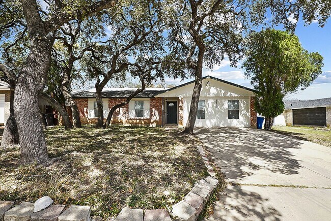 Building Photo - Cozy 3 bed 2bath Home-Move in Ready