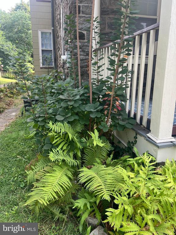 Foto principal - 128 W Mt Pleasant Ave