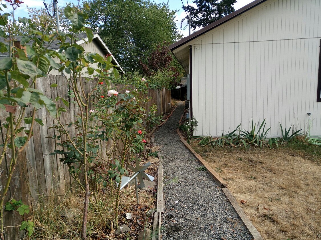 Side of house path for back tenant - 10316 SE Liebe St