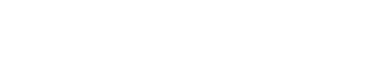 Larrymore Organization Inc