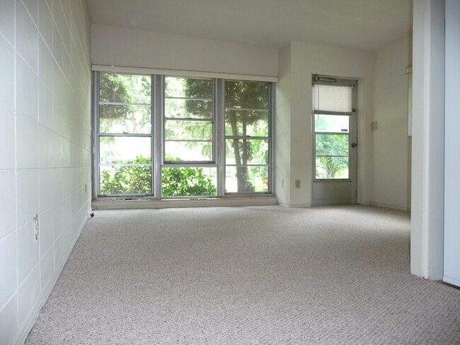 Huge front window, large lving room - 1010 Delaney Ave (Orlando, FL) Apartments