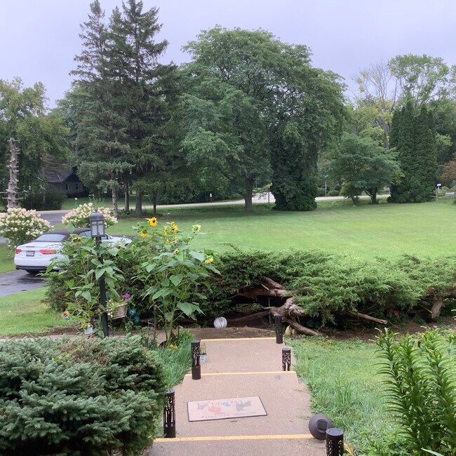 Front yard - 11239 N Parkview Dr