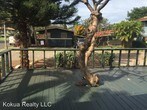 Primary Photo - 3510 Lower Honoapiilani Rd