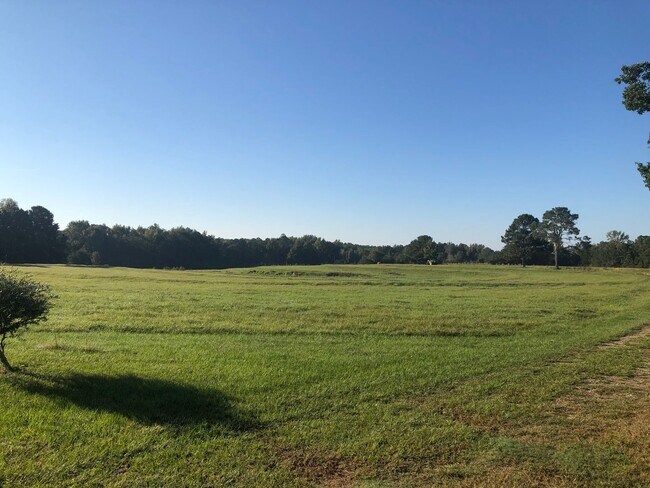 Foto del edificio - Gorgeous Farmhouse on 96 acres of land