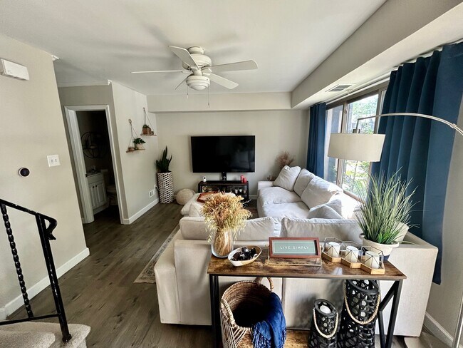 Foto del edificio - 36 Blue Spruce Ct