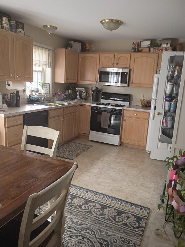 Foto del edificio - 428 Indian Rock Cir