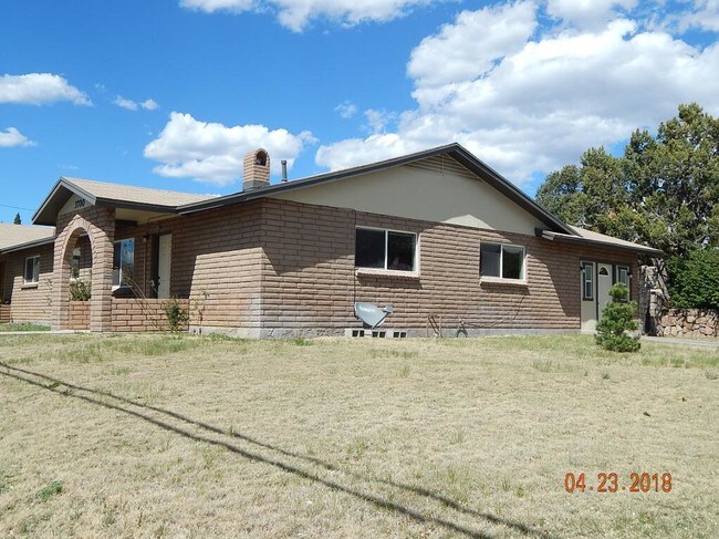 Side Yard - 3700 N Swan St