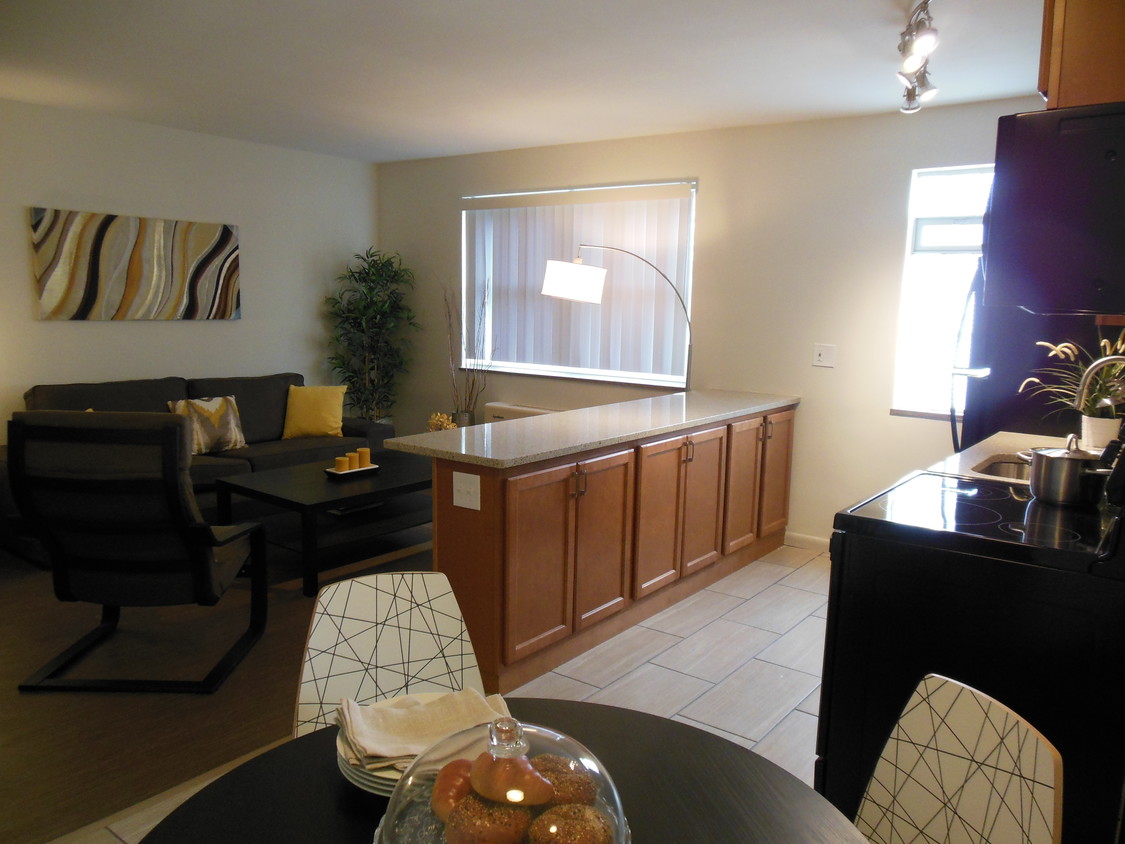 Espacio abierto con sala de estar/cocina - Edgecliff - Nassau Walnut Hill Apartments