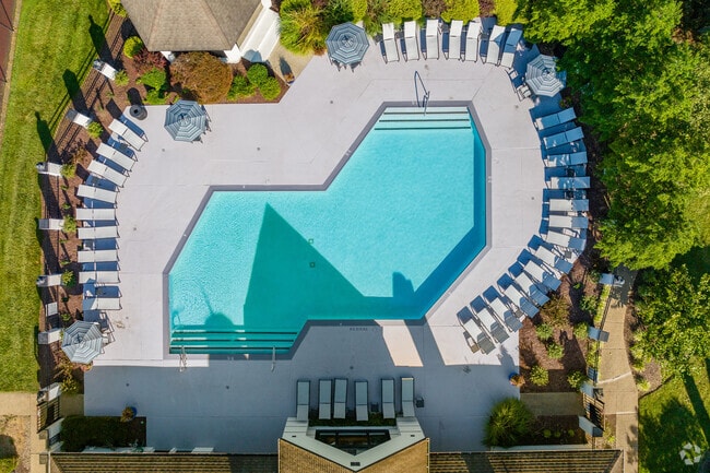 Piscina - The Taylor at 502