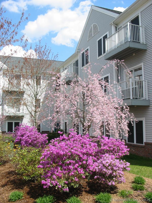 Foto del edificio - 100C Danbury Rd