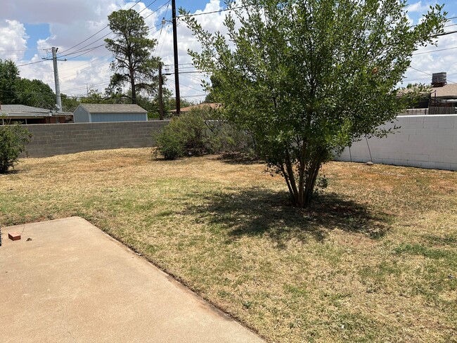 Large fenced in backyard - 703 Sinclair Ave