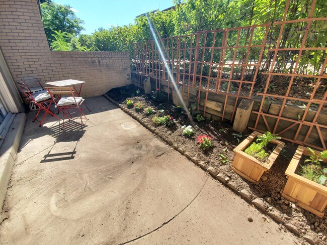 Patio and garden - 3000 Colorado Ave