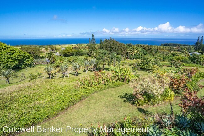 Foto del edificio - 3 br, 2.5 bath House - 4425 Opana Pl.