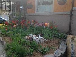 Photo du bâtiment - 29 Victoria St