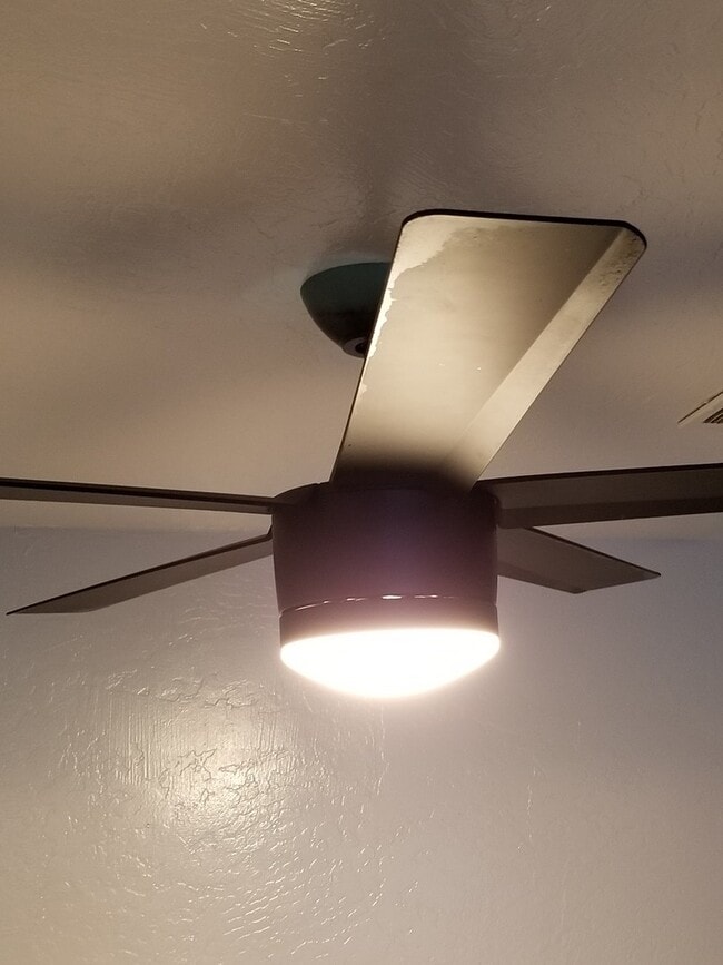 Building Photo - 1 BR Loft Available now