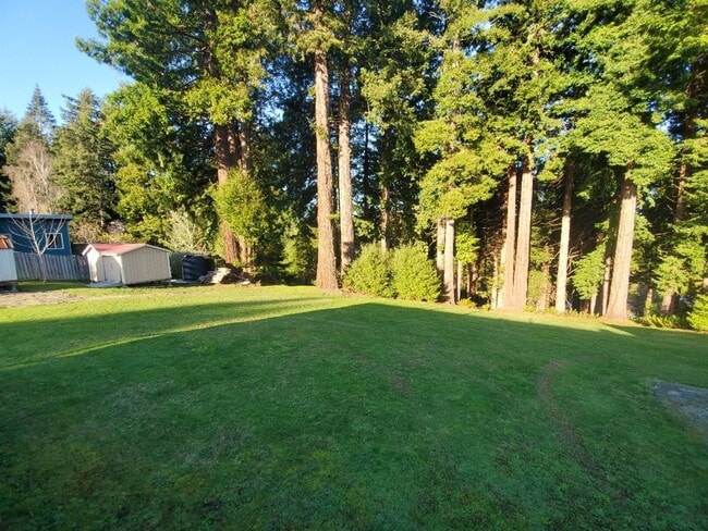 Building Photo - Spacious 1 bedroom with deck, wooded view & garden area. Most utilities included.