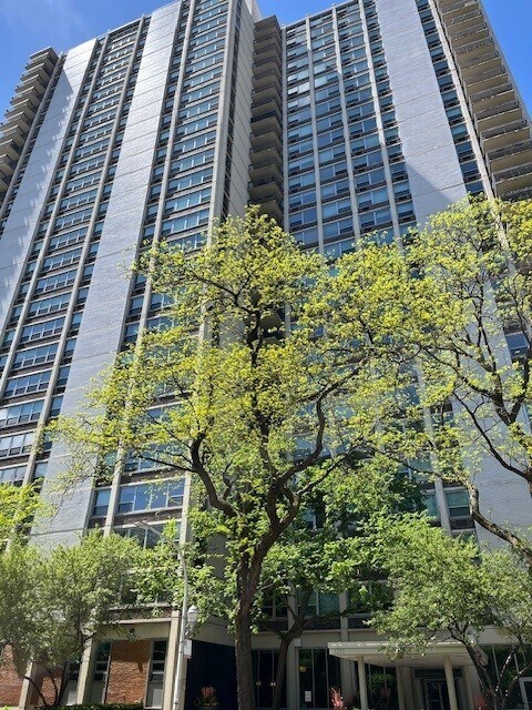 Foto del edificio - 1255 N Sandburg Terrace