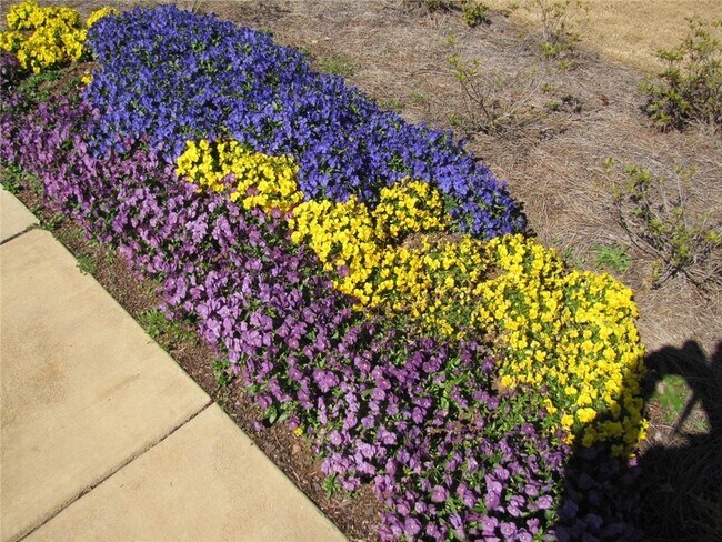 Building Photo - 462 Spring View Dr