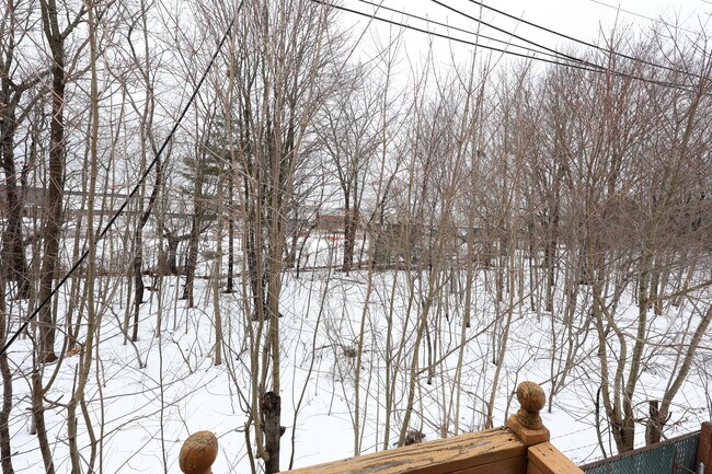 Building Photo - 65 Clifford St