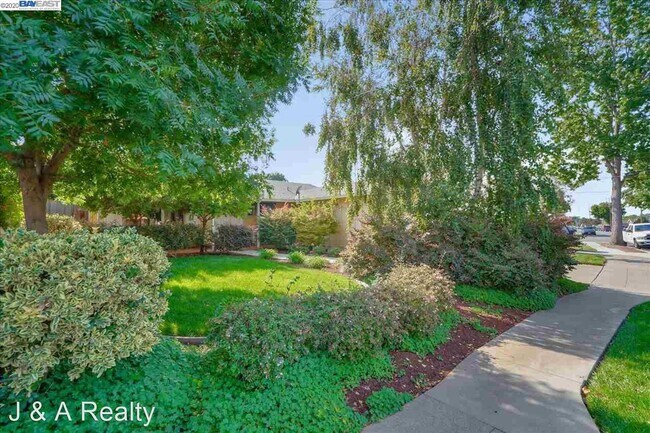 Building Photo - 4 br, 2 bath House - 36365 Sandalwood St