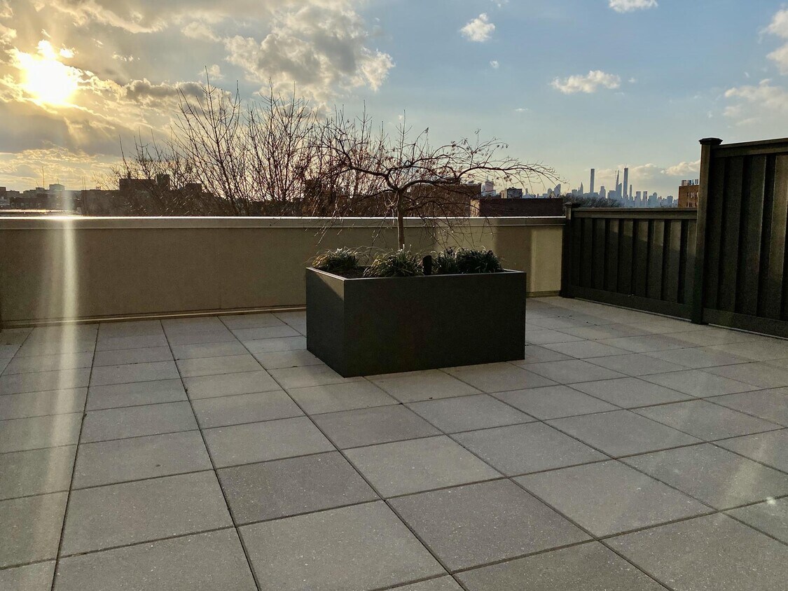 Primary Photo - 37-46 72nd Street