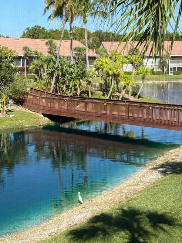 Foto del edificio - 1635 Windy Pines Dr