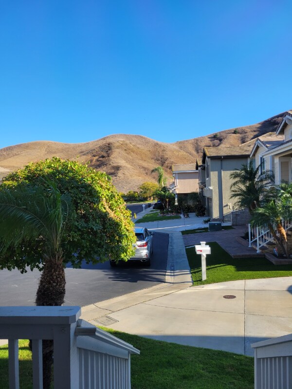 Foto del edificio - 4343 Jasmine Hill Ct