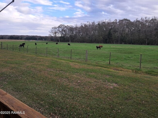 Building Photo - 11330 Audubon Rd