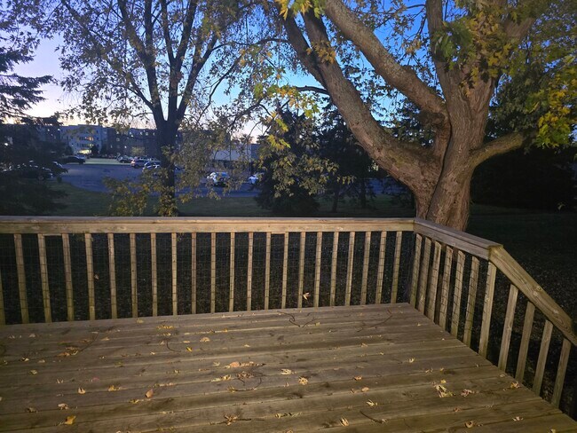 Building Photo - 2231 Cloudview Ct