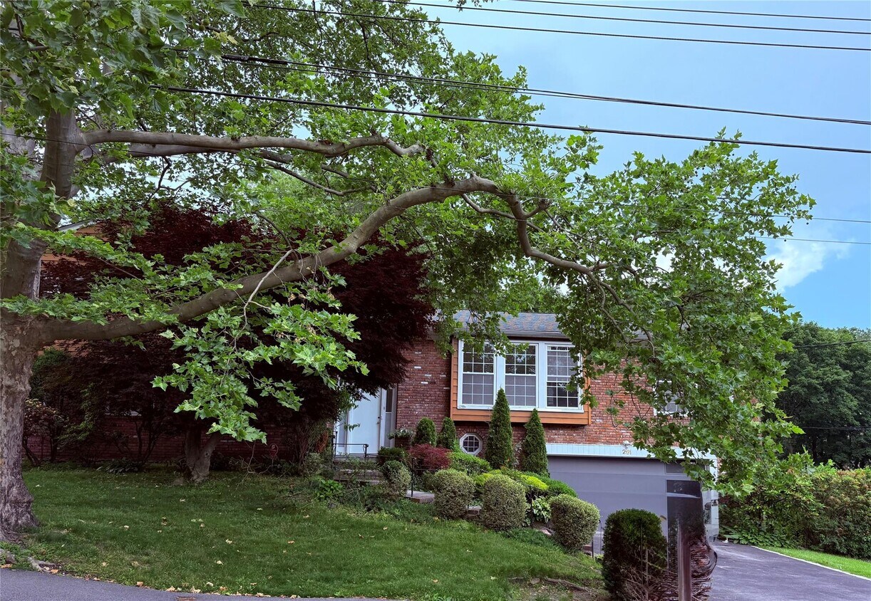 Primary Photo - 251 Broadfield Rd