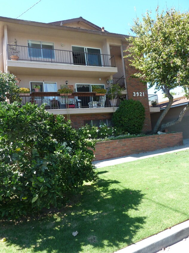 91 Apartments Available for Rent in San Pedro, CA