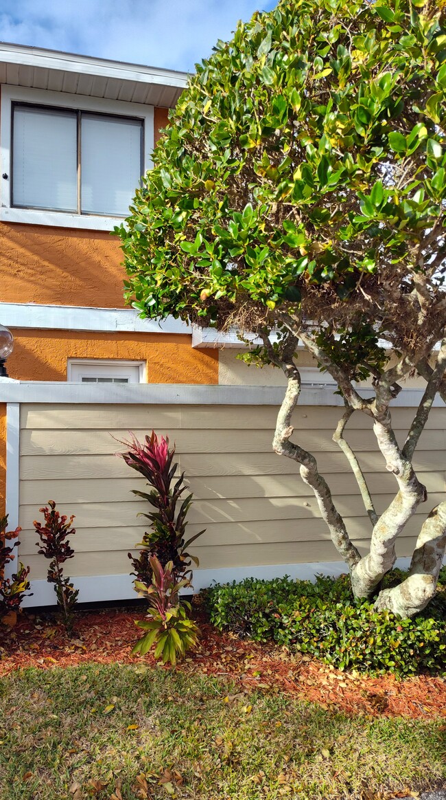 Completamente ajardinado por HOA - 67 Silver Falls Cir