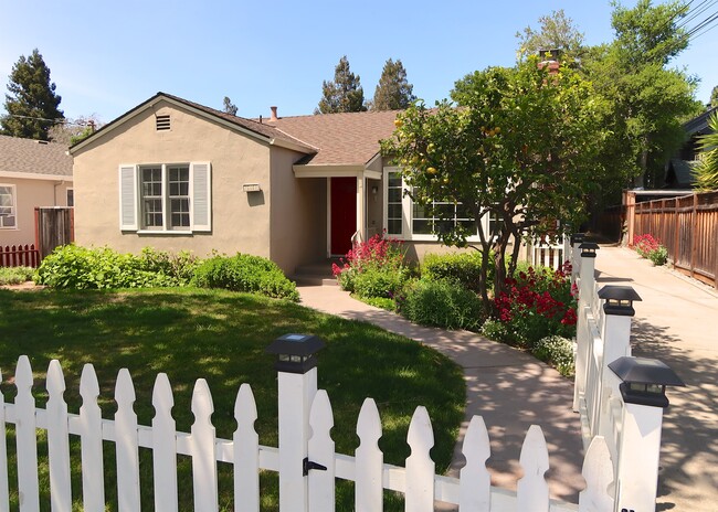 Front Yard - 700 Live Oak Ave