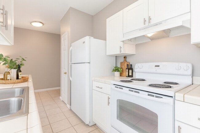 Building Photo - South Palm Villas