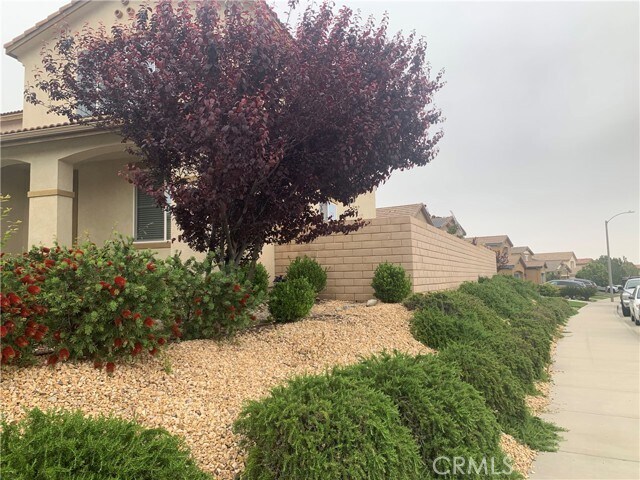 Building Photo - 4043 Bristlecone Pine Ln