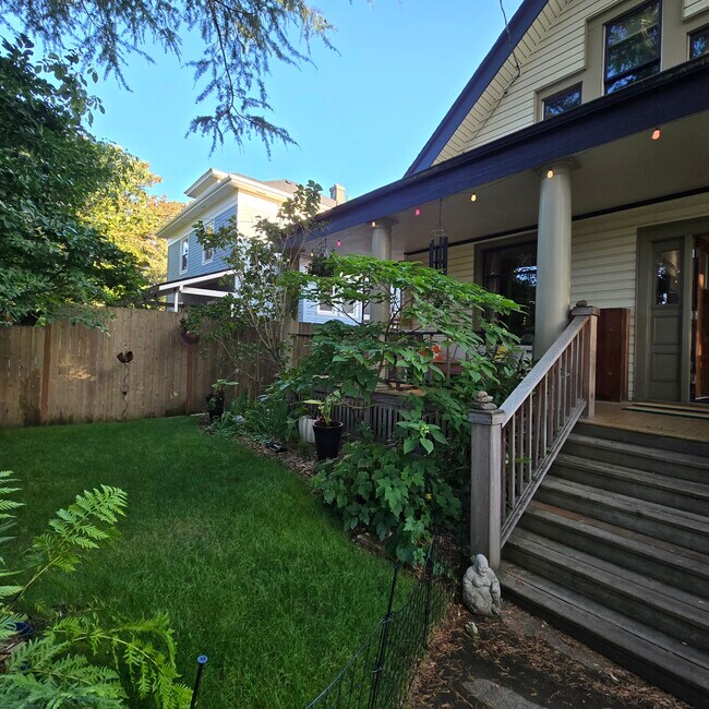 Front Yard in summer - 555 N Simpson St