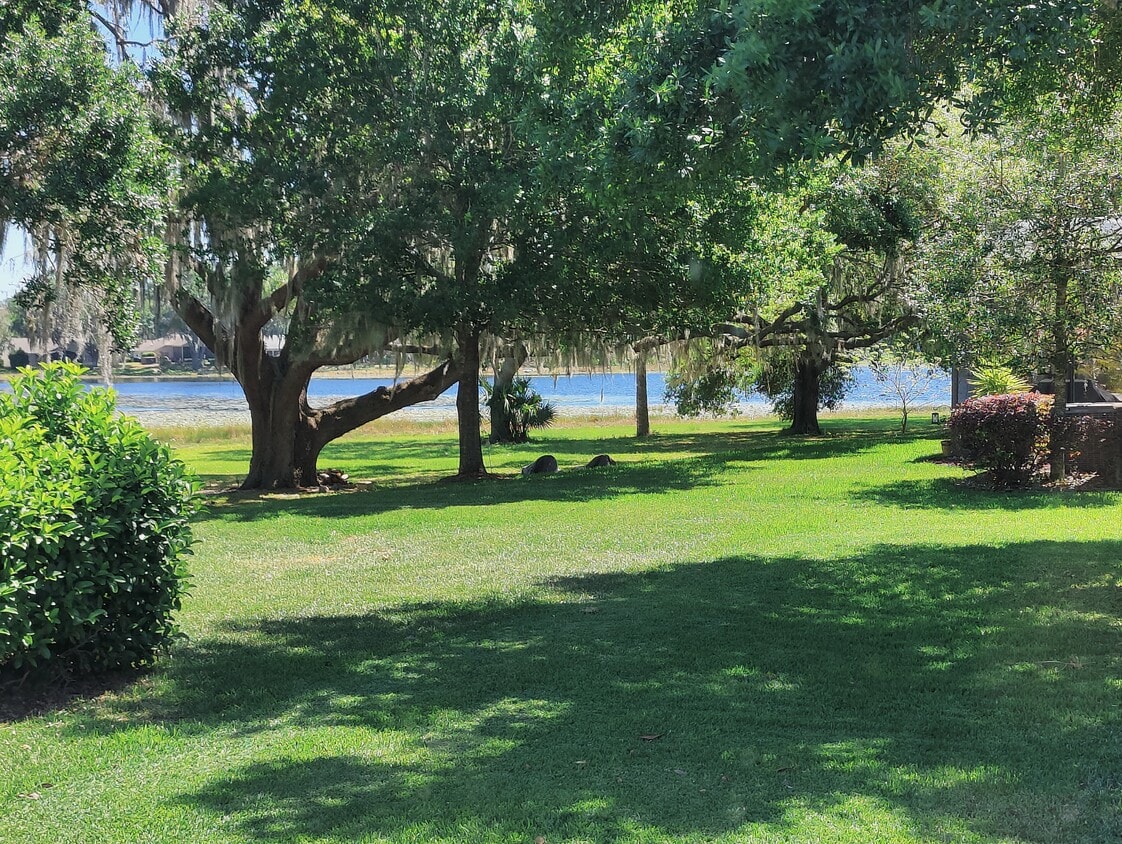 Lake view from back yard - 3602 Westover Cir