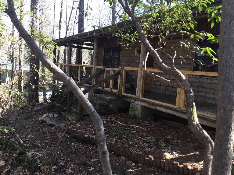 Primary Photo - Deluxe Cabin