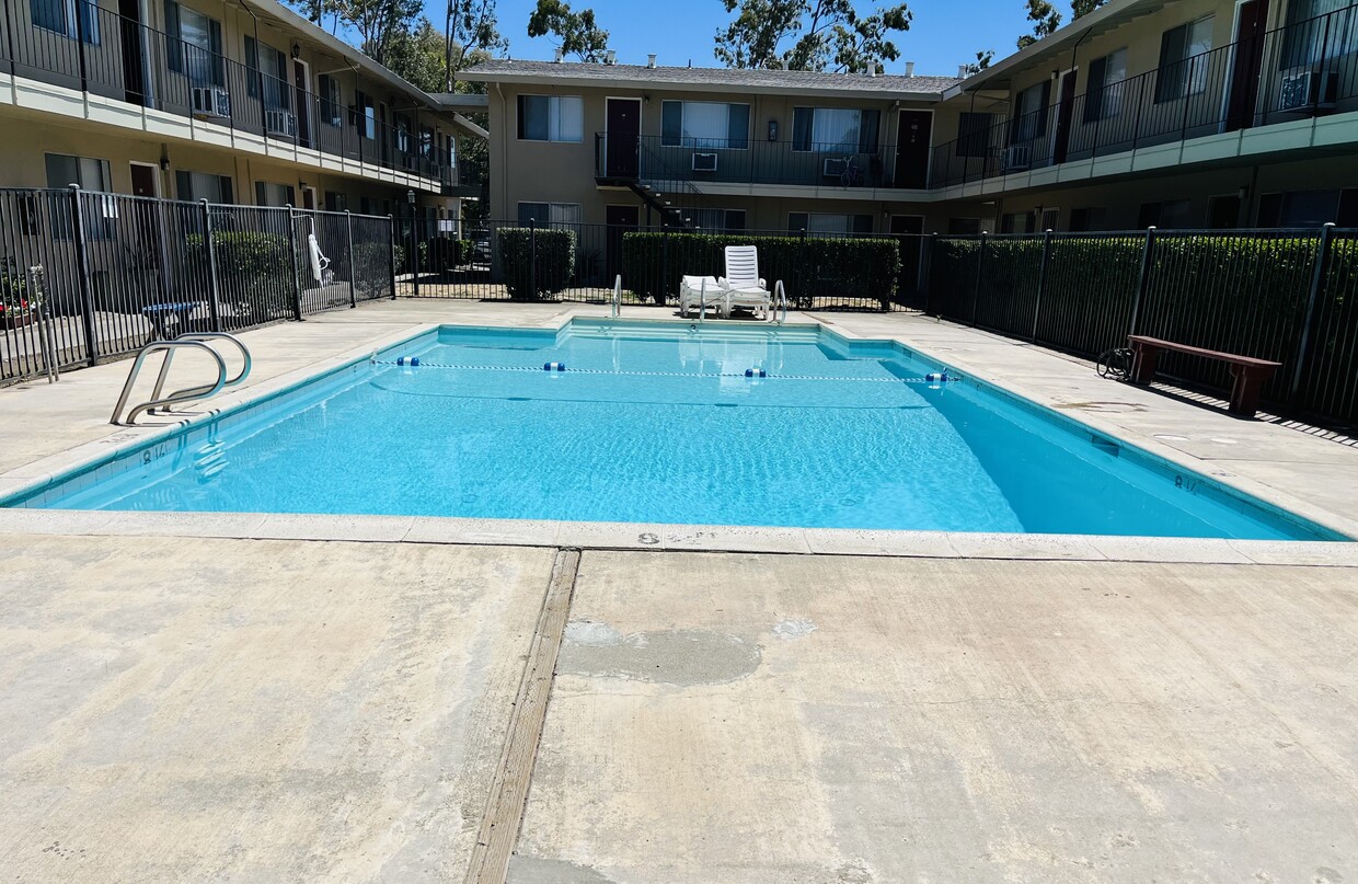 Hampton Park Pool - Hampton Park Apartments