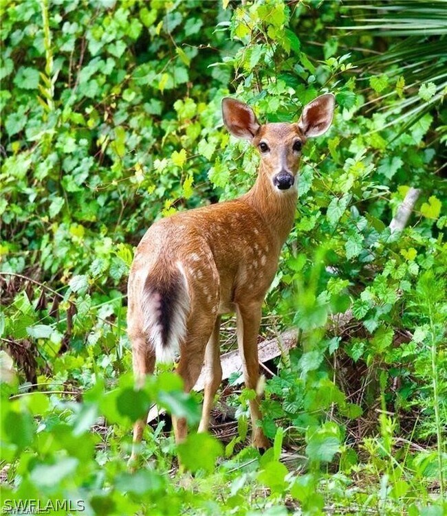 Foto del edificio - 3650 1st Ave SW