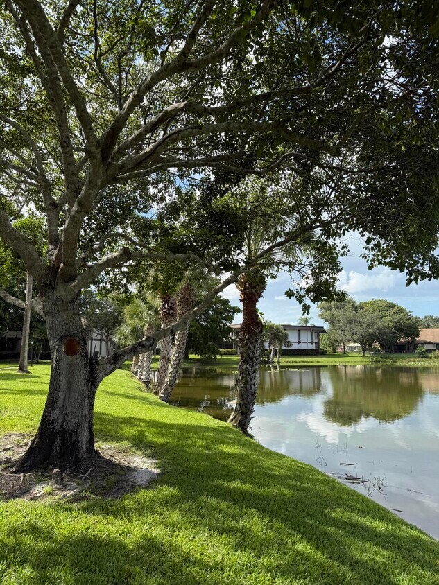 Foto principal - 1 W Greenway Dr