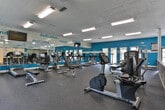 Located at 4946 Snapfinger Woods Dr in Decatur, Georgia, this single-floor fitness center is designed to provide a comprehensive workout environment. The space is defined by its bold teal and white color scheme, with motivational words such as "strength," "dedication," "focus," and "change" displayed prominently along the upper walls and large mirrors, creating an energizing atmosphere throughout.

The main workout area is generously sized, featuring durable rubber flooring and a full lineup of cardio equipment including multiple treadmills and stationary bikes. A dedicated strength training section houses a variety of resistance machines and a dumbbell rack, catering to a wide range of fitness routines. Large mirrors along the walls amplify the sense of space and allow for proper form checks during exercise. A wall-mounted television provides entertainment for cardio sessions.

A standout feature of this facility is the enclosed racquetball court, accessed through glass panel doors. The court boasts a hardwood floor and offers an exciting alternative to traditional gym workouts. Natural light filters into the space through multiple exterior-facing doors and windows, contributing to an open and inviting feel. Stone-accented partition walls add a distinctive architectural touch, complementing the contemporary design. The facility is well-lit with overhead fluorescent lighting throughout.