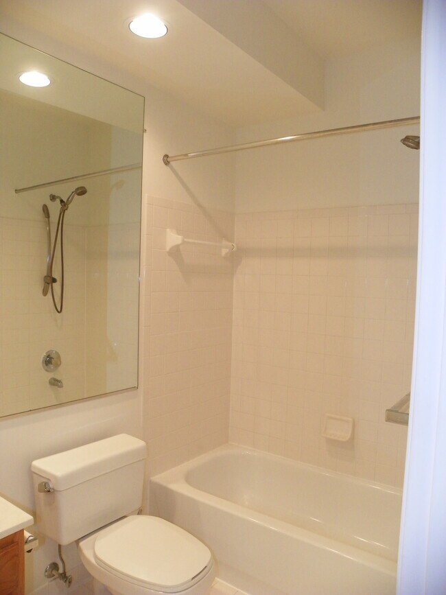 Master bathroom - 6874 Brindle Heath Way