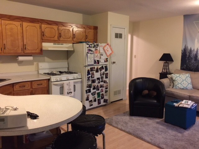 Kitchen, Living room - 201 S Friedline Dr