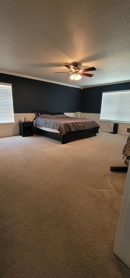 Building Photo - Beautiful 3 Bedroom house in Fountain