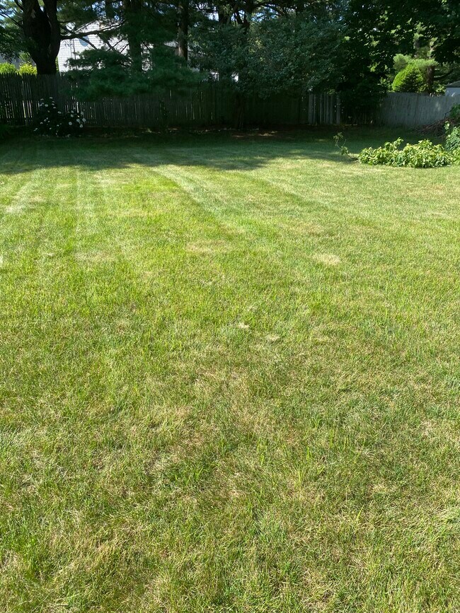 Back yard - 219 Killey Ave